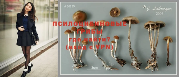 синтетический гашиш Липки