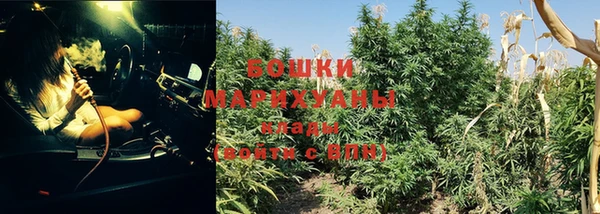 ПСИЛОЦИБИНОВЫЕ ГРИБЫ Лихославль